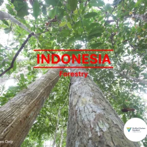 Indonesia Forestry Carbon Credit VERRA V2019