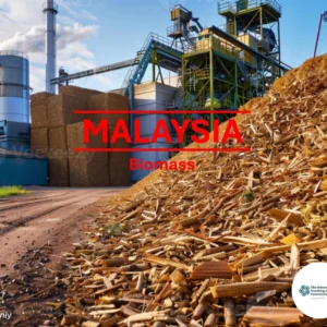 Malaysia Biomass Carbon Credit VERRA V2023- 2030