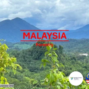 Malaysia Forestry Carbon Credit VERRA V2015